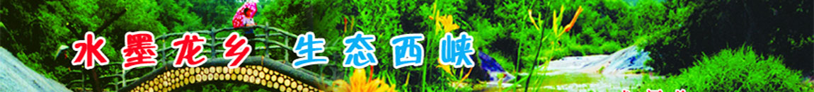 111.jpg